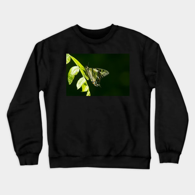 Tiger In The Woods Crewneck Sweatshirt by EugeJ